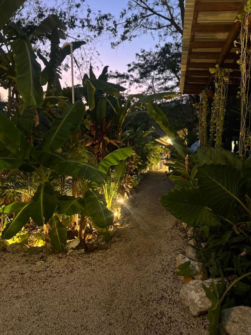 Playa Hermosa Cobano Dream Surf House Santa Teresa旅舍 外观 照片