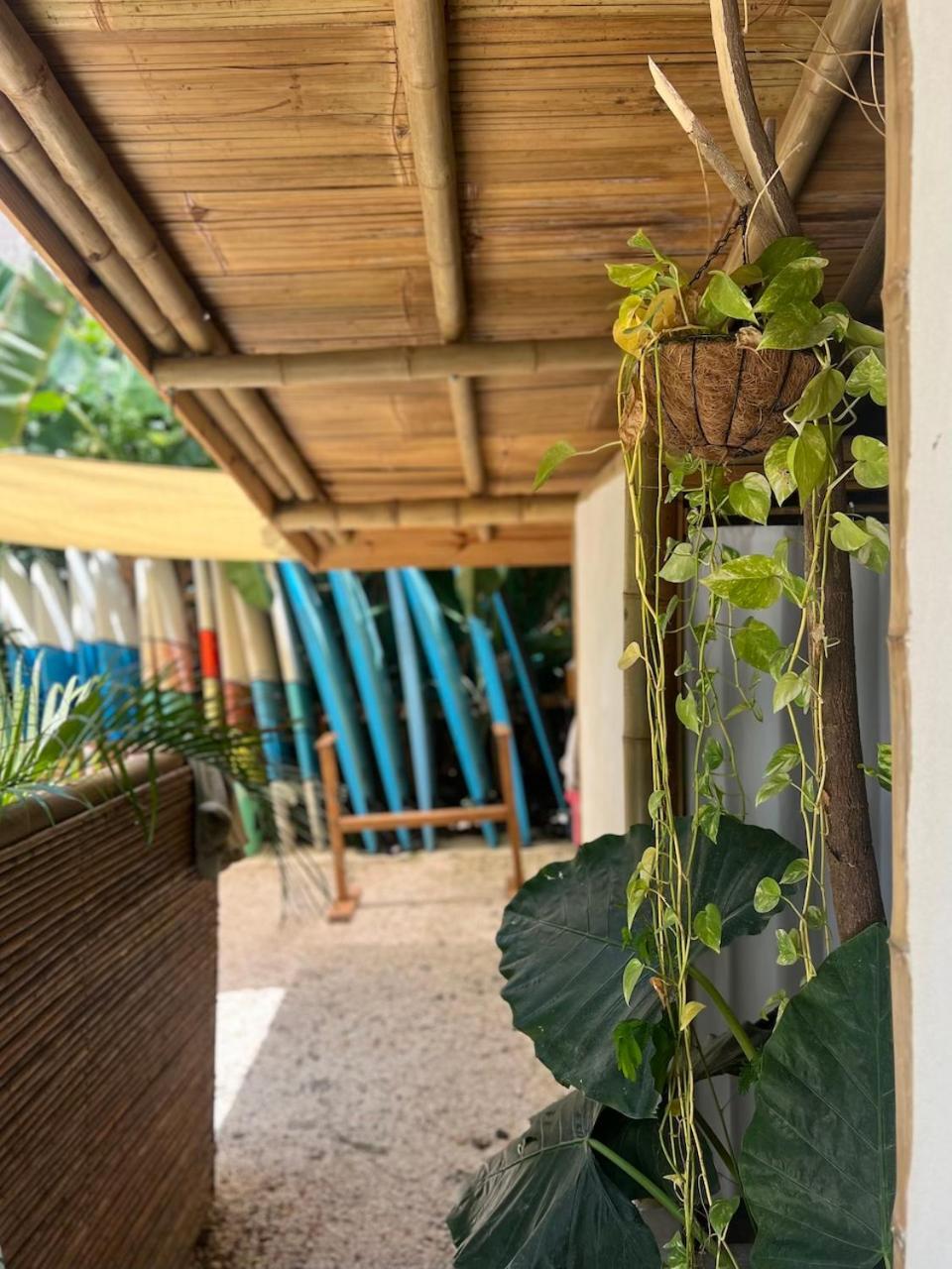 Playa Hermosa Cobano Dream Surf House Santa Teresa旅舍 外观 照片