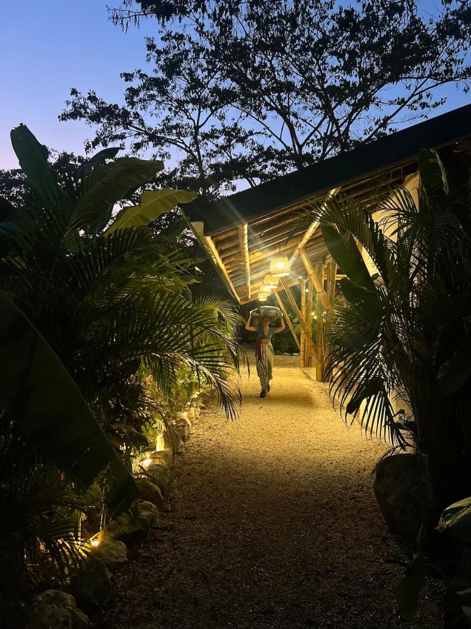 Playa Hermosa Cobano Dream Surf House Santa Teresa旅舍 外观 照片