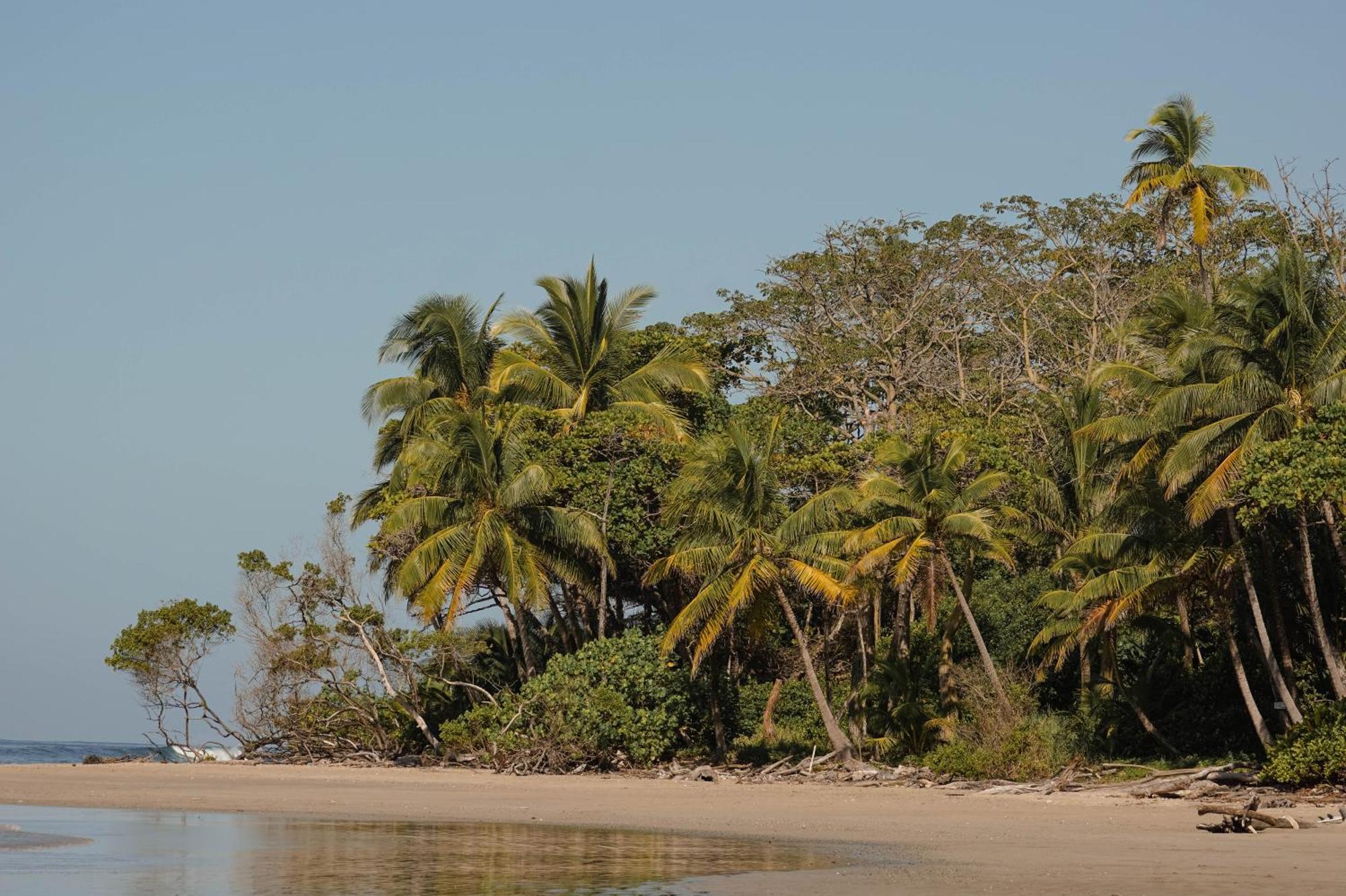 Playa Hermosa Cobano Dream Surf House Santa Teresa旅舍 外观 照片