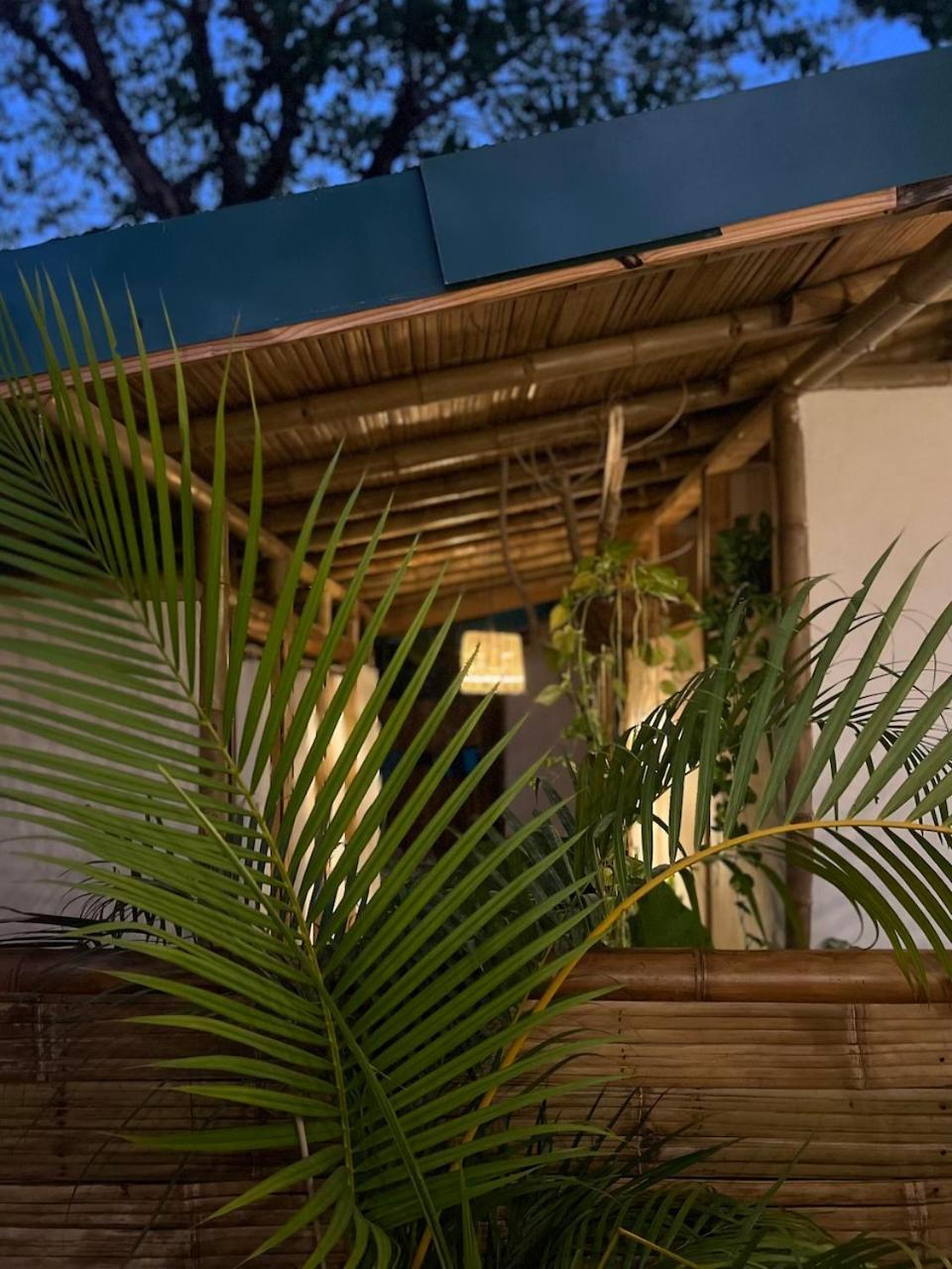 Playa Hermosa Cobano Dream Surf House Santa Teresa旅舍 外观 照片