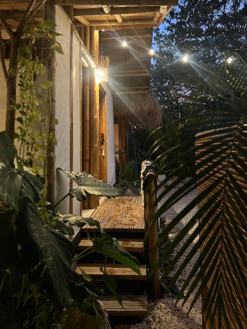 Playa Hermosa Cobano Dream Surf House Santa Teresa旅舍 外观 照片