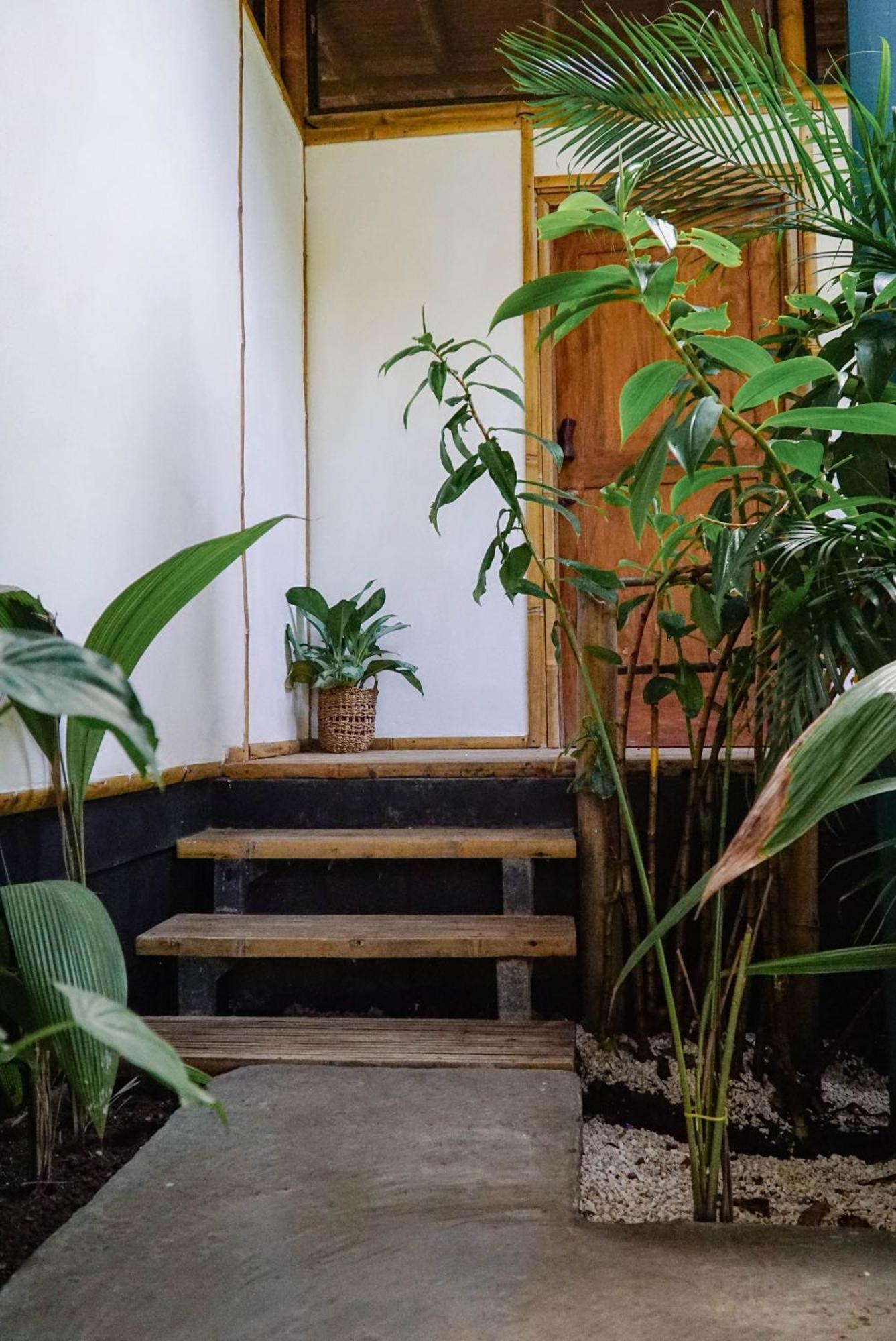 Playa Hermosa Cobano Dream Surf House Santa Teresa旅舍 外观 照片