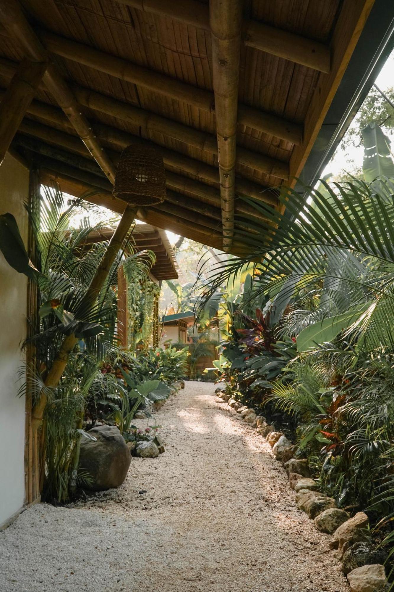 Playa Hermosa Cobano Dream Surf House Santa Teresa旅舍 外观 照片