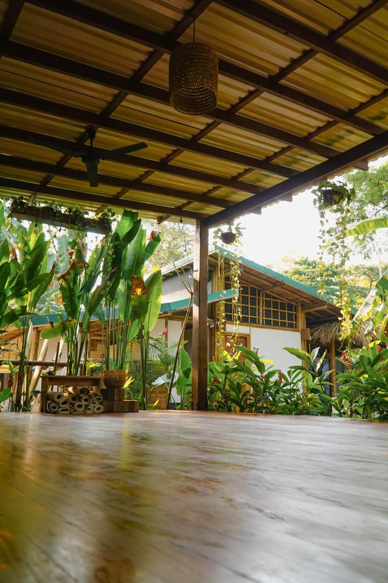Playa Hermosa Cobano Dream Surf House Santa Teresa旅舍 外观 照片