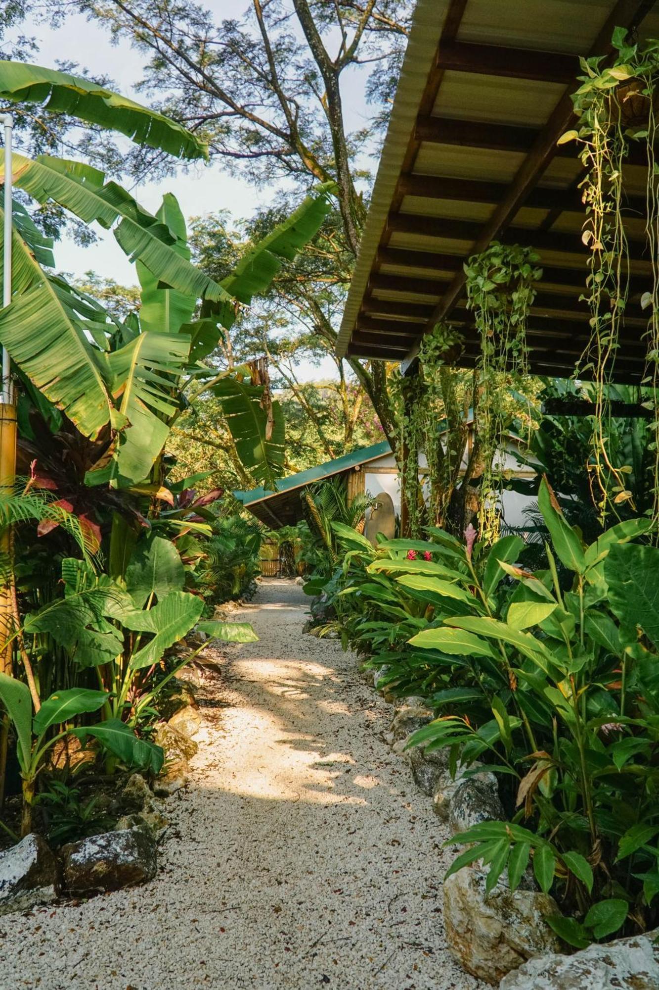 Playa Hermosa Cobano Dream Surf House Santa Teresa旅舍 外观 照片