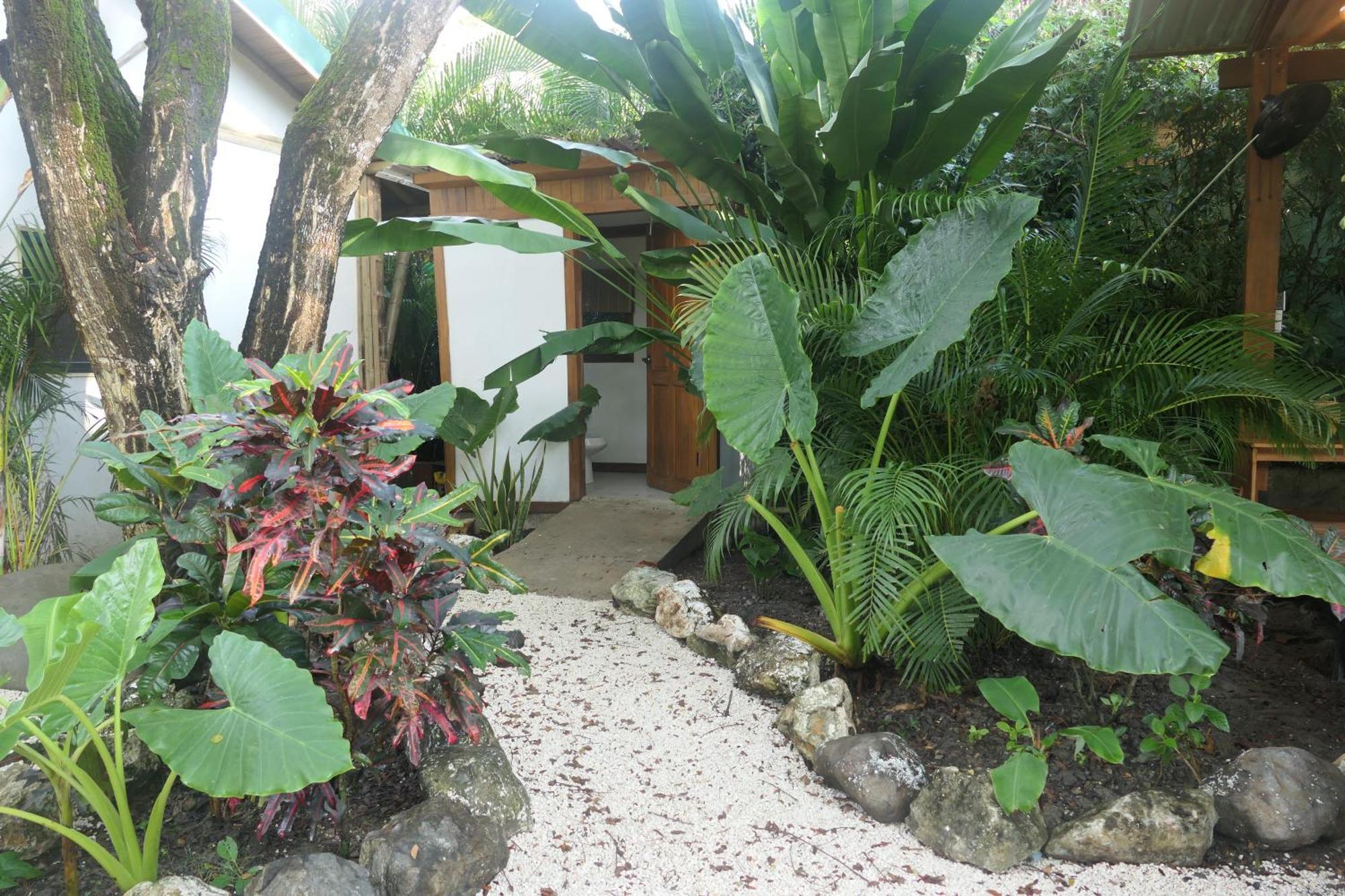 Playa Hermosa Cobano Dream Surf House Santa Teresa旅舍 外观 照片