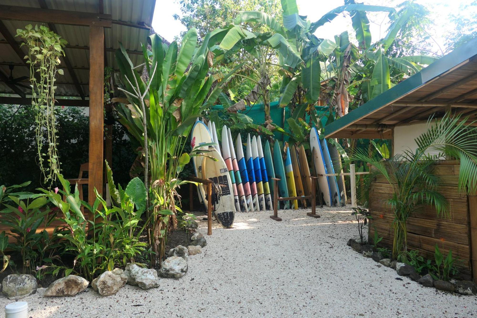 Playa Hermosa Cobano Dream Surf House Santa Teresa旅舍 外观 照片